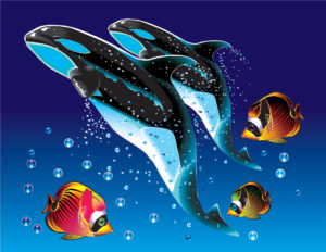 foto de la ilustración Ballenas