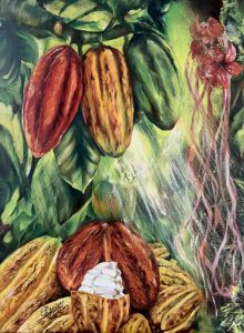 Variedades del Cacao Cacao
